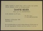 Beijer Saapje - 14-07-1867 (190).JPG